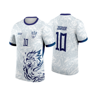 CAMISA INTERCLASSE FENIX