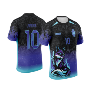CAMISA INTERCLASSE RAPOSA