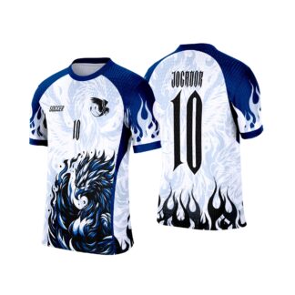 CAMISA INTERCLASSE FENIX